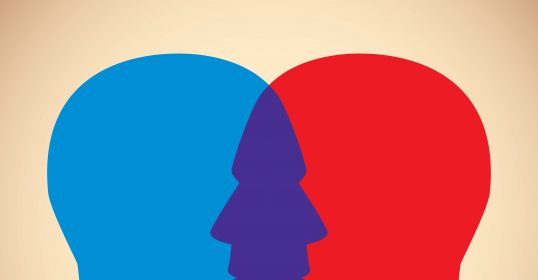 Build instant rapport with these two heads featuring blue and red faces.