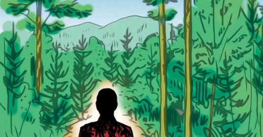 illustration of man walking in the woods.