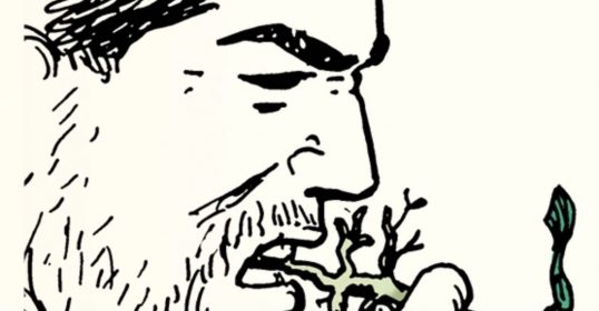A drawing of a man eating an edible plant.