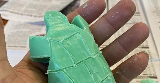 A person holding a turtle in their hand.