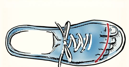 A blue shoe with a red line on it fits perfectly.