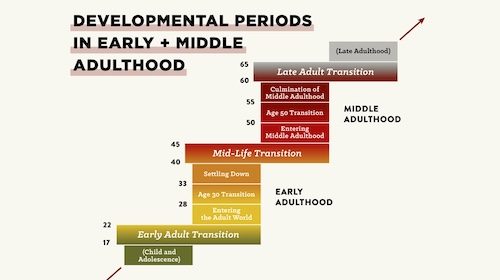 The introduction of developmental periods in early childhood and middle adulthood.