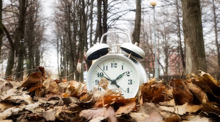 A white clock sitting on a pile of leaves in a park, symbolizing the importance of time management in our busy lives.