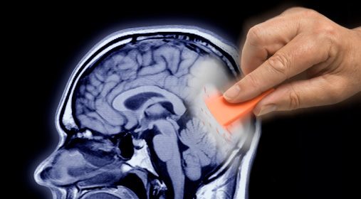 A hand is touching a brain with an orange stick.