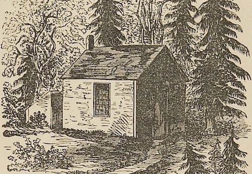 An illustration of a small house in the woods, inspired by Walden.