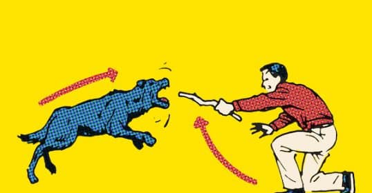 An illustration of a person crouching and reaching out to a leaping, digitally patterned dog against a yellow background, demonstrating the Skill of the Week: Dog Attack Survival.