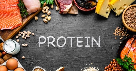 Various protein-rich foods surrounding the word 