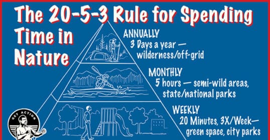 Infographic describing the 