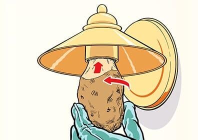 Illustration of a potato wearing a large Asian conical hat, wrapped in a blue cloth, with a broken light bulb pointing to its eye.