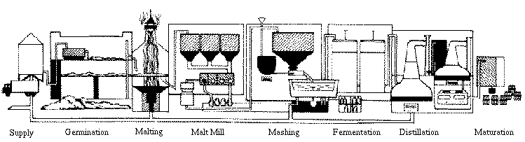 Scotch whisky distillation process illustration.