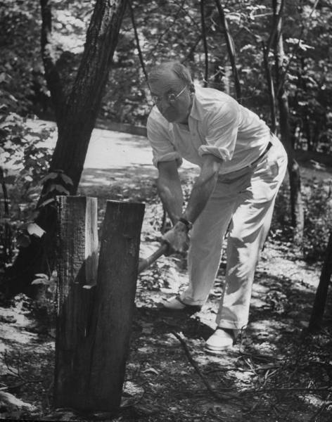 Vintage man splitting and chopping the wood.