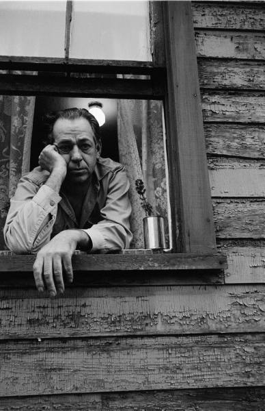 Vintage sad grieving man looking out of the window and a flower pot is being placed in the window.