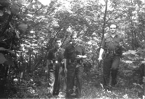 A group of men holding guns in forest.