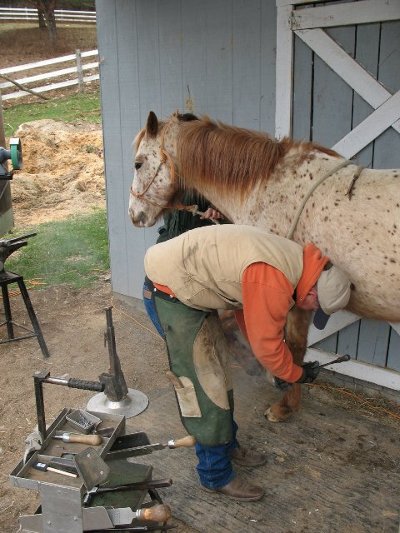 Farrier putting shoes on horse foot.