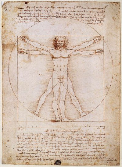 Vitruvian man renaissance old sheet of paper drawing.