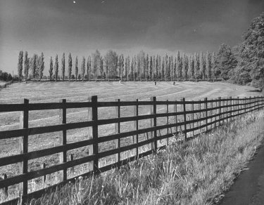 Vintage pasture fence farmland.
