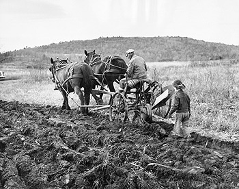 Man plowing a field with his son.