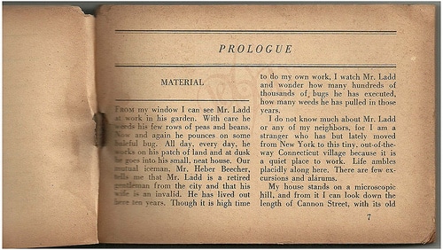 Prologue page of book.