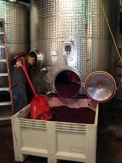Wine fermentation in large container.