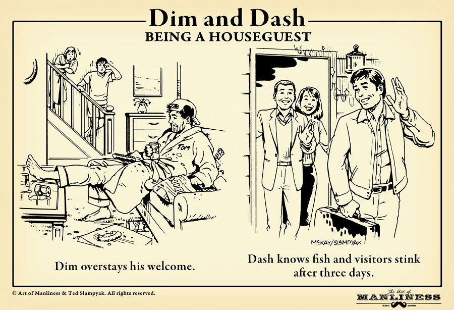 Dim and Dash being a houseguest illustration.