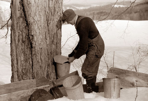 Man covering vermont syrup bucket in cold weather.