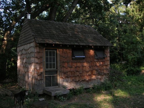 Vintage a shack around with greenery illustration.