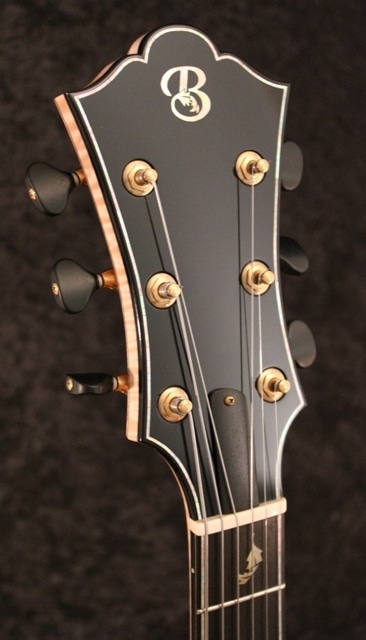 Cord panel of equisetic guitar.