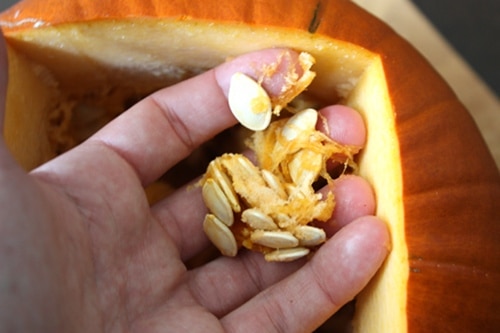 Step 3 pulling seeds out of pumpkin with hands