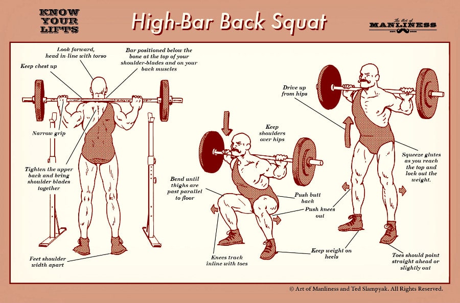 Illustrative guide of doing high-bar back squat.