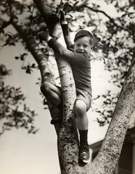 Vintage young boy climbing tree smile on face.