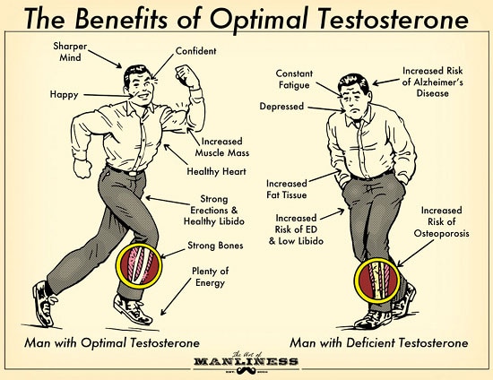 Benefits of high good optimal testosterone illustration diagram. 