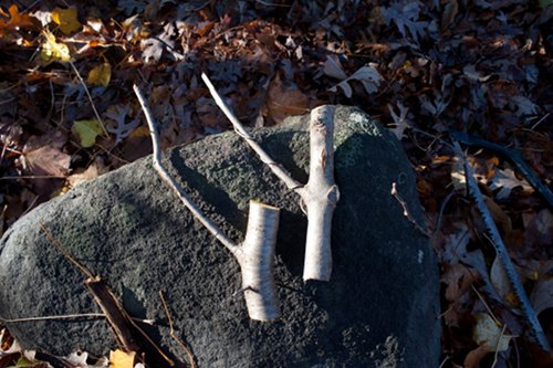 diy homemade coat hook from tree branch