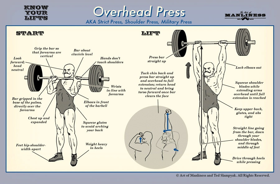 Illustration guide showing how to do overhead press.