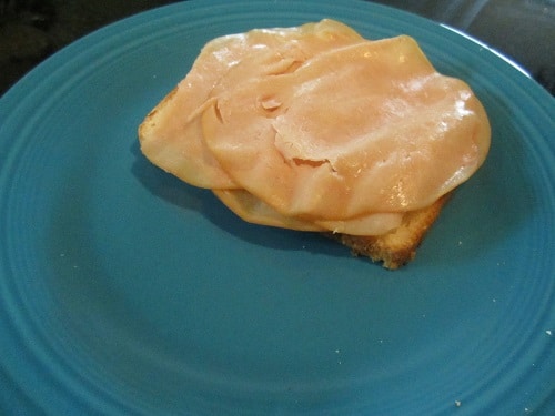 I gave it a heart serving of turkey.