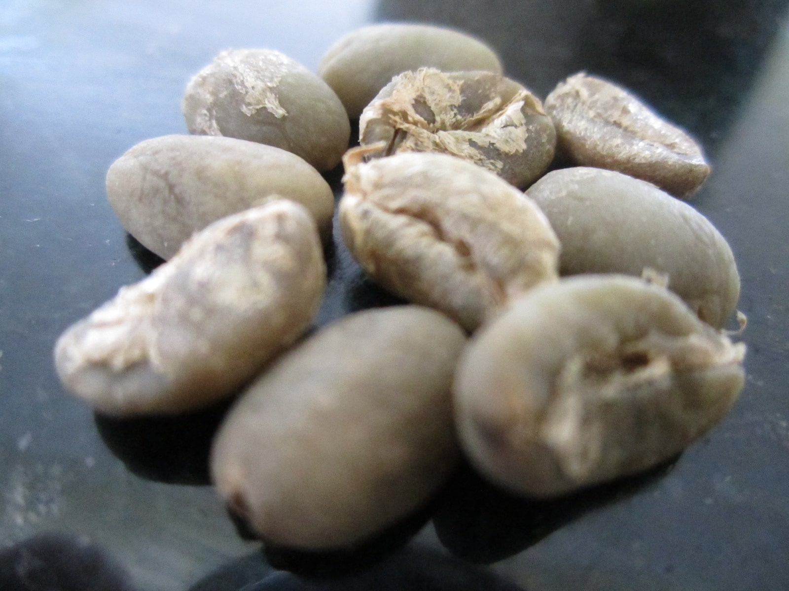 Unroasted, green coffee beans. 