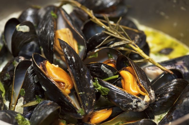 Steamed prince Edward island mussels.