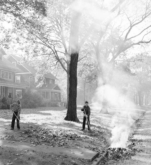 Vintage boys raking leaves in the fall. 