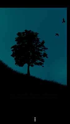 dark