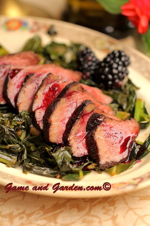 Homemade chili cocoa crusted venison with berry reduction.