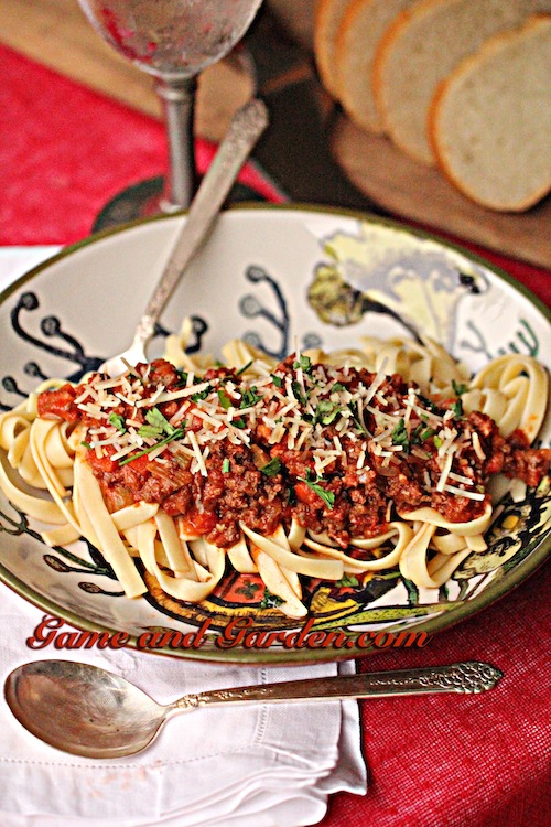 Venison pasta homemade cooked deer meat on plate.