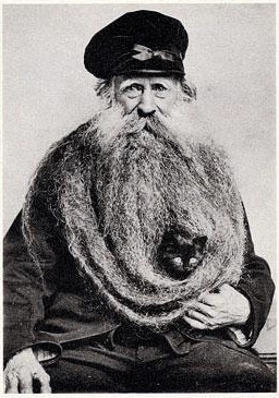 A long beard old man holding cat in his beard.