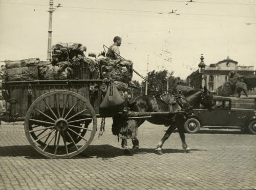 vintage man in carriage horse pulled wagon full of things