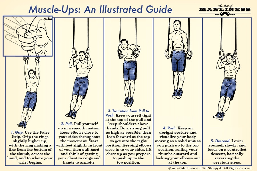 These steps are required for man muscle ups illustration.