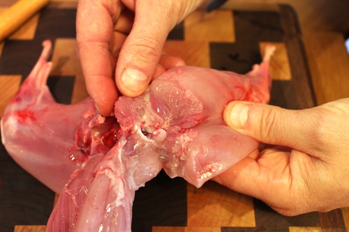 I then move to the back legs. I cut through the meat to the hip joint and then snap that with my fingers. After removing the back legs, I cut the pelvis off. I save the pelvis section and use it to make a rabbit stock with the neck and ribcage (mentioned later).