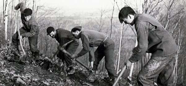 Vintage men digging on hillside. 