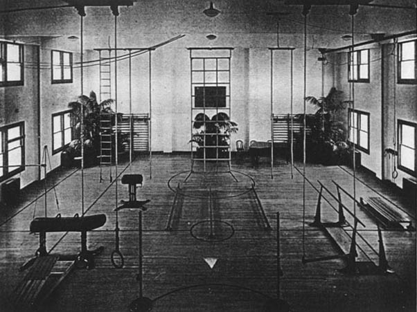 Vintage old gym gymnasium pommel horse rings.
