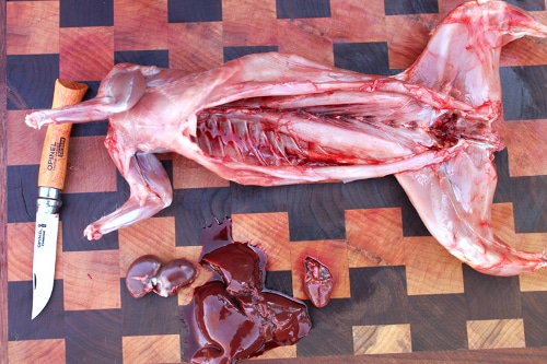 Cut through the pelvic bone and clear out any remnants of the colon. Also pull out any remaining membranes or pieces from the chest and abdominal cavity. I typically keep the heart, liver, and kidneys and cook them in a variety of ways. Each is unique and delicious. A deep red liver is the sign of a healthy animal. If the liver looks weird or is muddled with spots or discoloration, the animal may be unhealthy, in which case I would not eat it.