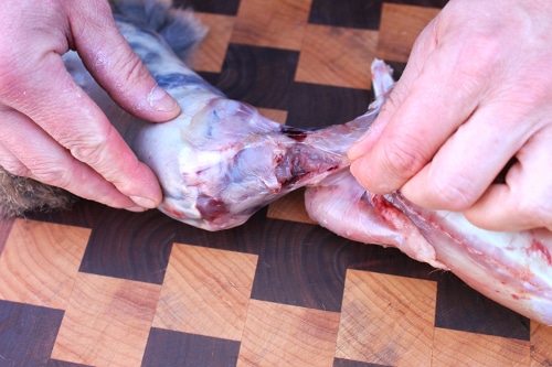 rabbit-head-off
