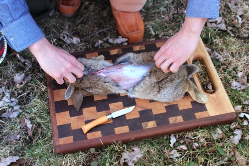 rabbit being skinned field dressed