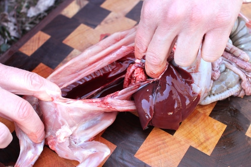 Insert your index and middle fingers to the top of the chest cavity and press them all the way down against the spine. With one steady motion you should be able to pull down and remove all the organs and intestines. Keep pulling down until everything is out of the way.